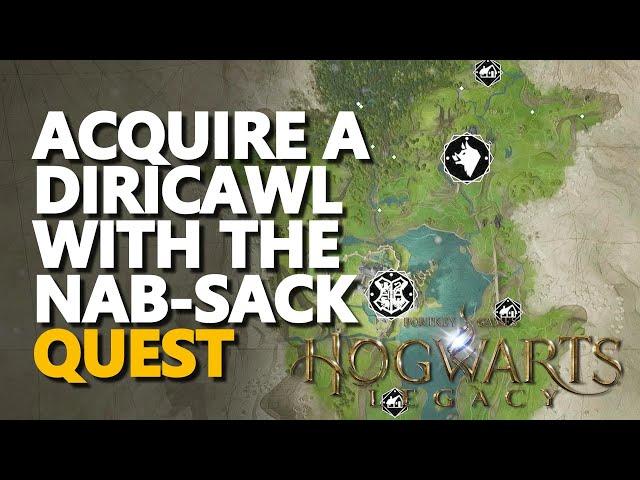 Acquire a Diricawl with the nab-sack Hogwarts Legacy