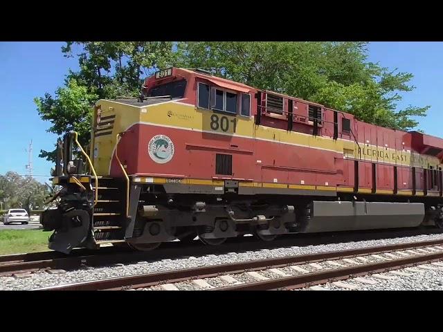 FEC Freights With Champions Plus 425 Pink Lady & Brightline At Boynton Beach 8-13-24