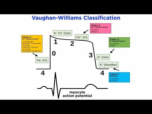 Antiarrhythmic Drugs Part 2: Pharmacological Solutions