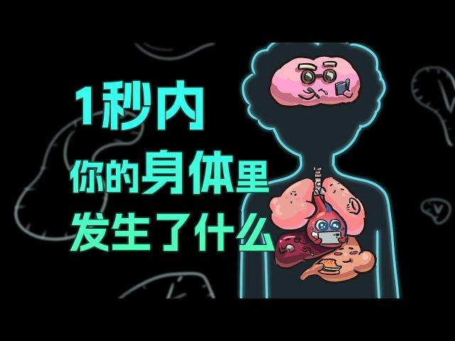 【李白尼】「86」1秒内，你的身体都在发生什么？