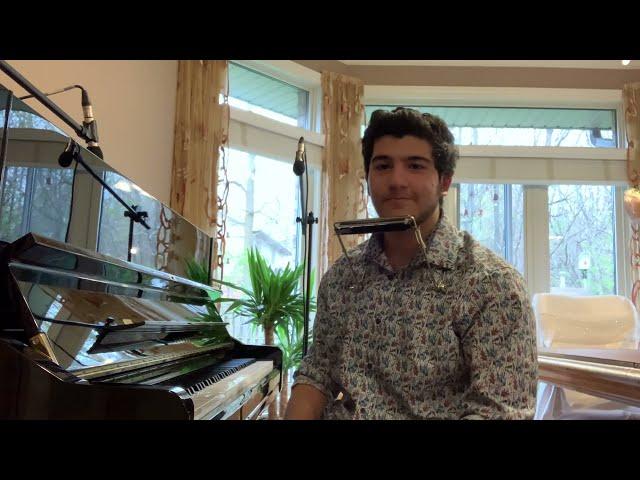 Billy Joel - Piano man (Cover by Hirad T)