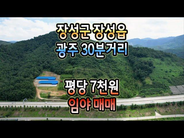 전남토지매매 #1387 장성군 장성읍  평당 7천원 임업후계자 등록 가능한 묫자리 & 약초 재배지 추천 임야