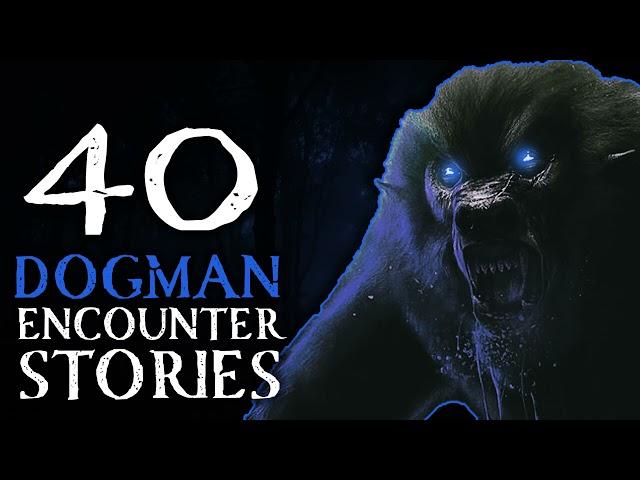 40+ SCARY DOGMAN AND CRYPTID ENCOUNTER STORIES - SCARY UPRIGHT CREATURES