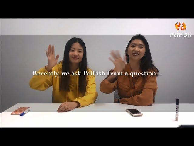 Quick Interview for PalFish Team | What is the Most Impressive Thing about Working for PalFish?