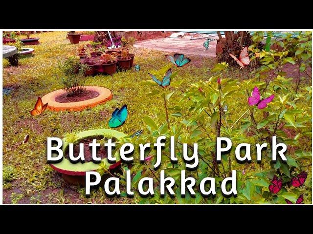 BUTTERFLY PARK || MALAMPUZHA || PALAKKAD | KERALA || BIG WORLD AZRA & JAZ #butterflypark #palakkad