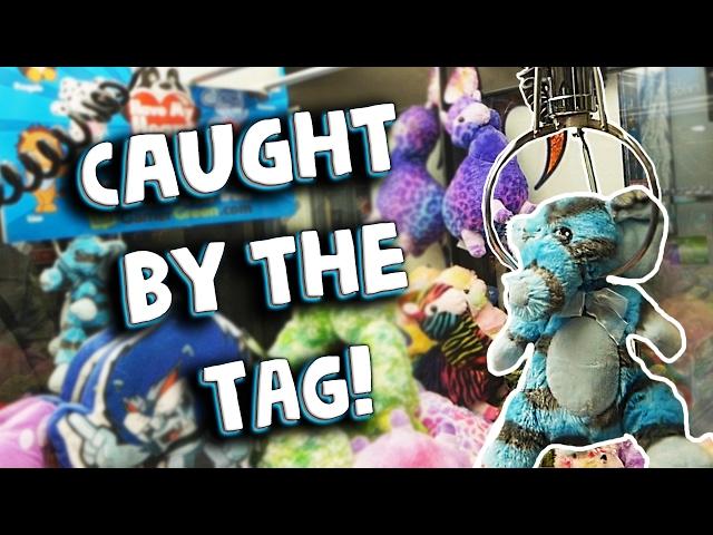 There's Actually a STRONG Claw Machine at WALMART! || Skill Crane Wins