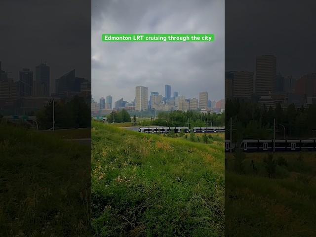 Edmonton LRT cruising through the picturesque city greenery. #shorts #downtownedmonton #travelab