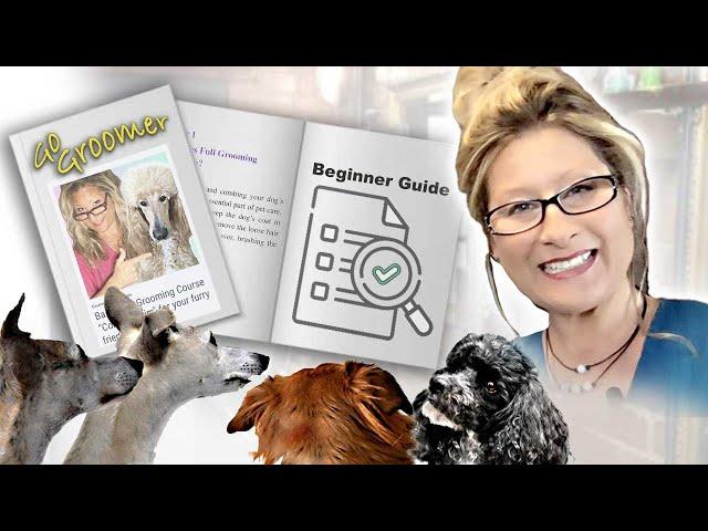 BEGINNER GUIDE to running a DOG GROOMING BUSINESS in 2022