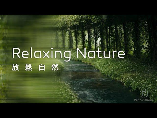 放鬆音樂Relaxing Music｜寧靜而悠閒的環境，林道佈滿了自然的生機，綠意盎然