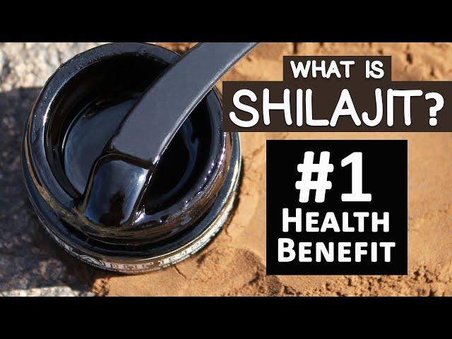 #1 Health Benefit of Shilajit and Top 3 Uses
