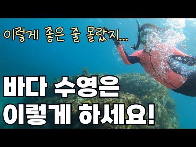 바다수영 입문 방법과 바다수영 방법 / 슈트 입는 방법 / 동해바다 바린이 바수 도전기