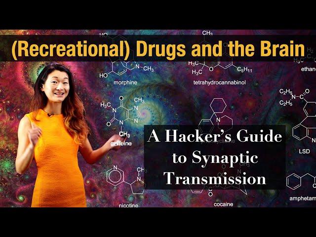 (Recreational) Drugs and the Brain