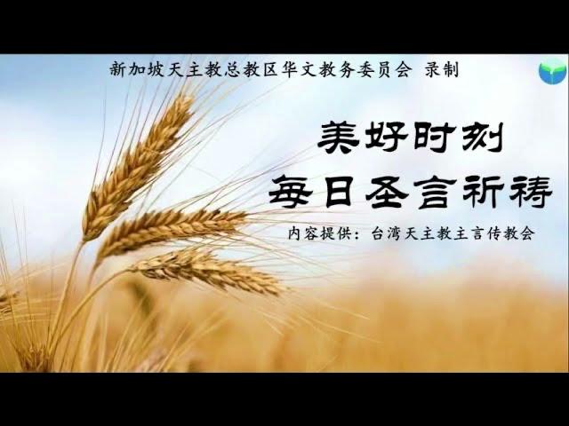 《美好时刻 - 每日圣言祈祷》2024年12月25日 (点击caption来观看字幕)