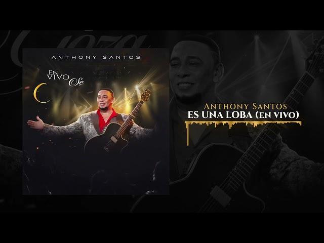 Anthony Santos - ES UNA LOBA (En Vivo)