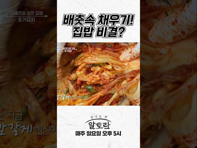 배춧속 채우기! 김혜연 집밥 비결?
