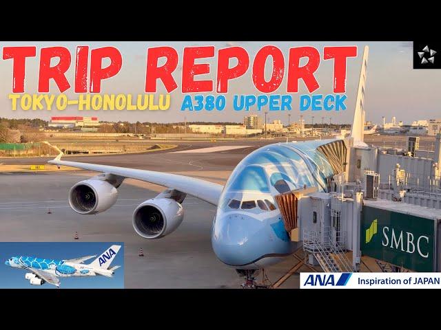 I flew on ANA special A380 to Hawaii in Business class !