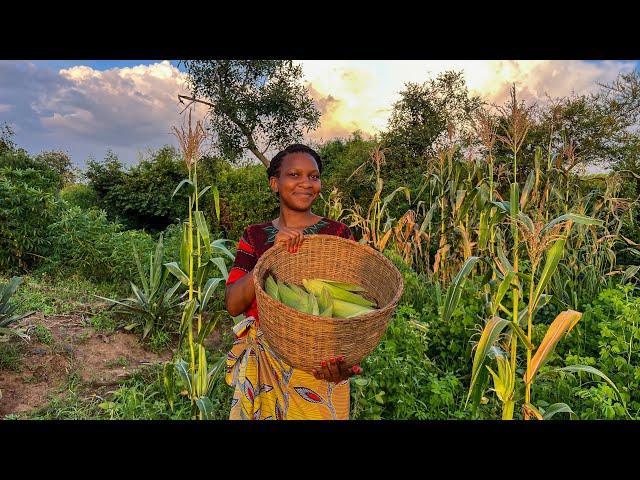 African village girl’s evening routine during harvest season | Typical Luo Homestead