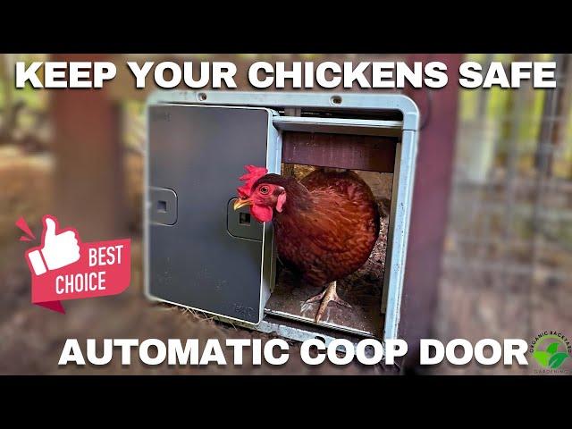 Keep Your Chickens Safe with the Omlet Smart Automatic Coop Door | Easy Installation & Wi-Fi Control