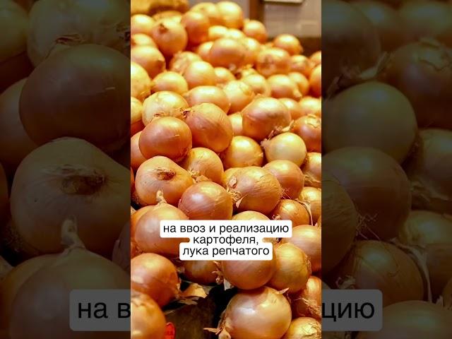 Картошку, лук и яблоки из "недружественных" стран разрешили продавать в Беларуси / #новостибеларуси