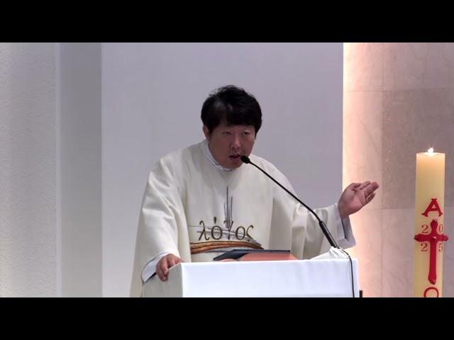 [매일미사 강론] 갈등, 어려움, 고통 앞에서 신앙생활을 중단하기 때문에 주님께서 주시는 기쁨을 체험하지 못하는 것입니다. 부활 제6주간 금요일25.05.30/ 김재덕 베드로 신부