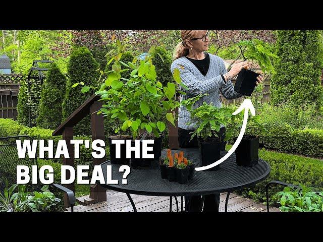 Native Plants - What's the Big Deal?