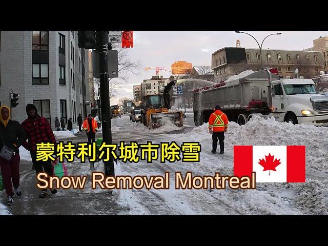 Montreal Snow Removal operation蒙特利尔除雪作业——加拿大海哥Hihai Channel