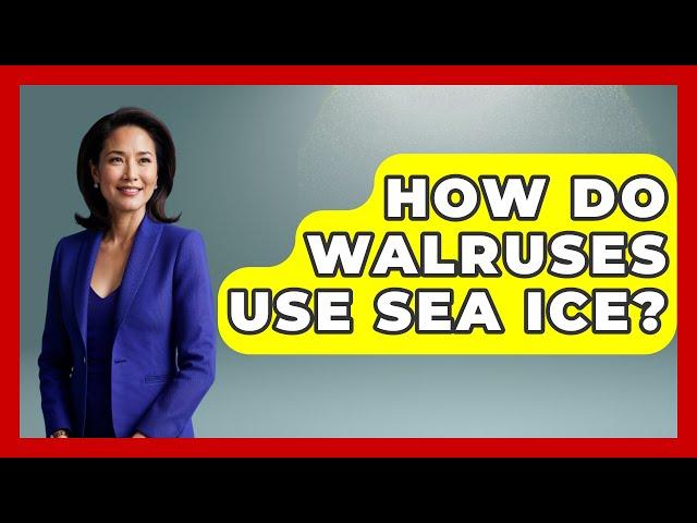 How Do Walruses Use Sea Ice? | Polar Regions Uncovered