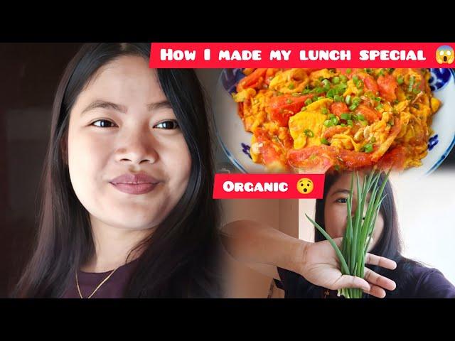 My special lunch || Cooking recipe of tomato  and egg#cooking #recipe #tomato