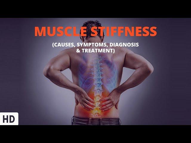 Muscle Stiffness Unpacked: An Expert Discussion