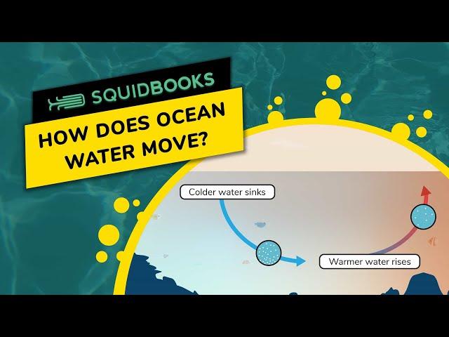 How Does Ocean Water Move? | Video by SquidBooks