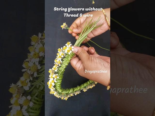 How to tie flowers without Thread & wire/How to Make a Daisy Flower Crown #shorts #diy #trending