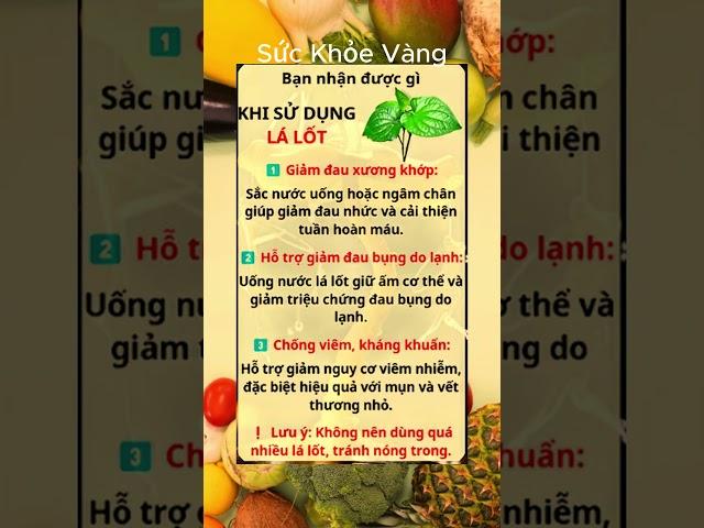 Bí Quyết Giữ Gìn Sức Khỏe Toàn Diện | Sức khỏe vàng #ChămSócSứcKhỏe #BảoVệSứcKhỏe #SốngKhỏeMỗiNgày