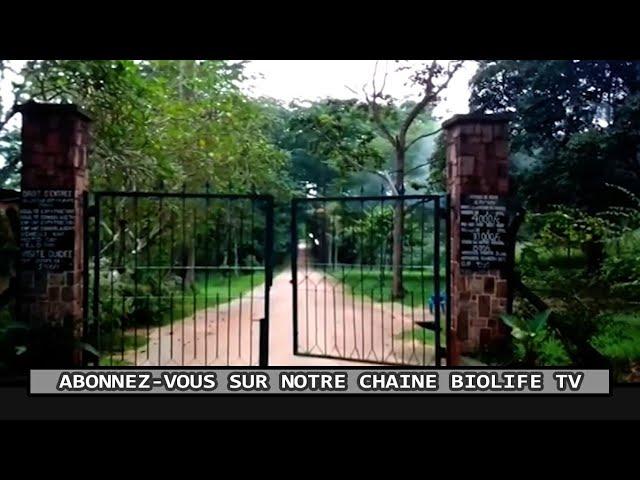 DÉCOUVRONS LE MAGNIFIQUE JARDIN BOTANIQUE DE KISANTU