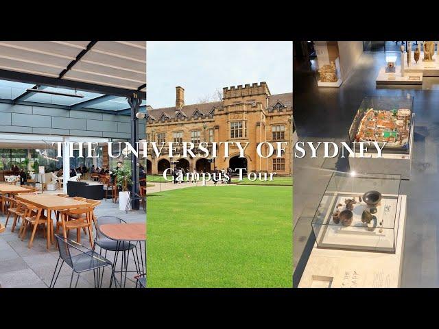 The University of Sydney Campus Tour (Australia Vlog #14)