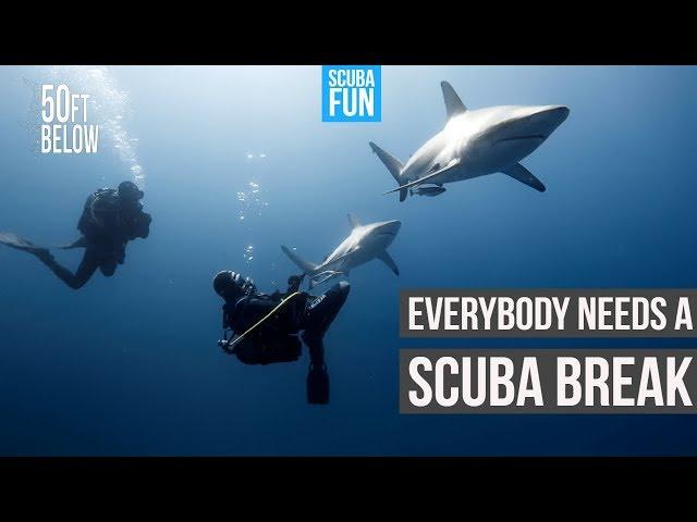 This is the reason why learn to scuba dive! | Why we scuba dive!