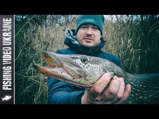 My biggest pike. Closing of the season + New trailer in real conditions | FishingVideoUkraine