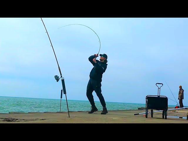 Pier Fishing Lake Michigan SALMON + INSANE MONSTER BYCATCH!