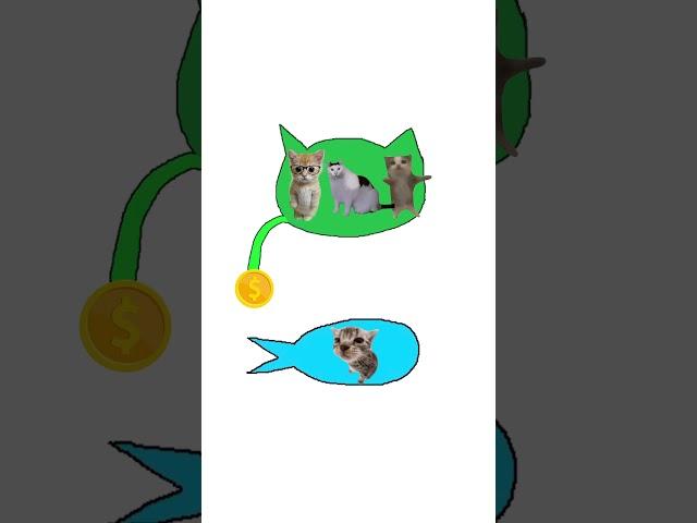 Kitty explains tarrifs