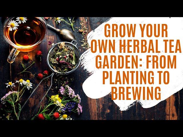 Grow Your Own Herbal Tea Garden: From Planting to Brewing | Urban Garden Republic