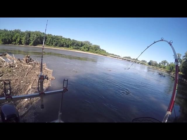 Hunting Flatheads on the Wapsipinicon River