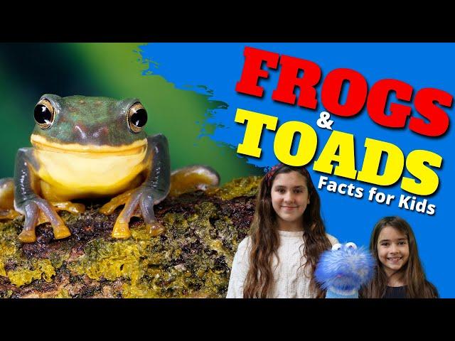 Learn All About Frogs and Toads | Facts for Kids