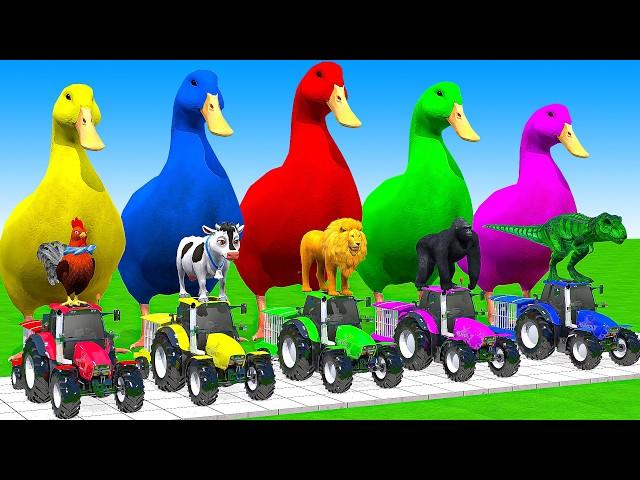 5 Giant Duck Cartoon, Cow, Mammoth, Elephant, Lion, Paint Wild Animals Crossing Fountain Animation