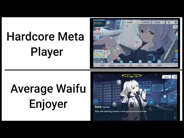 average waifu lore enjoyer vs hardcore meta player
