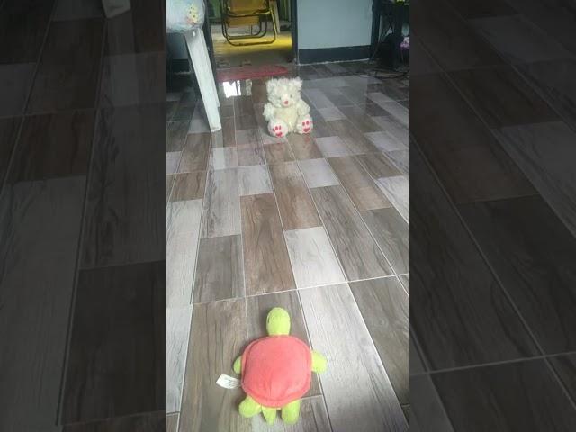 when you forget you have a little friend 