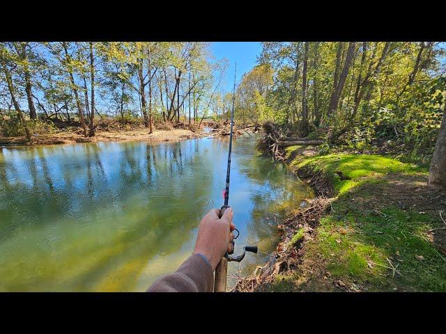 Trout Fishing With Jigs: This Creek Will NEVER Be The Same..