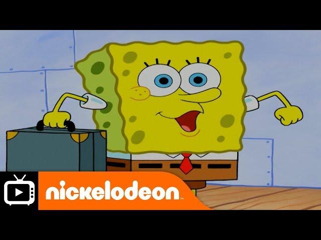 SpongeBob SquarePants | Cruise Life | Nickelodeon UK