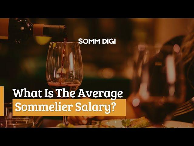 What Is The Average Sommelier Salary?  #sommelier #salary