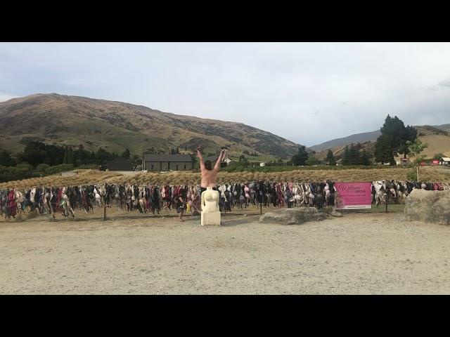 Cardrona Bra Fence