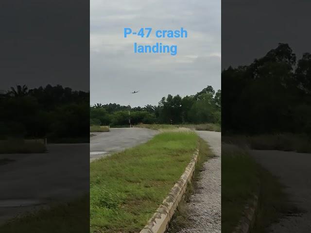 Giant P-47. Air retracts failure . Belly landing.