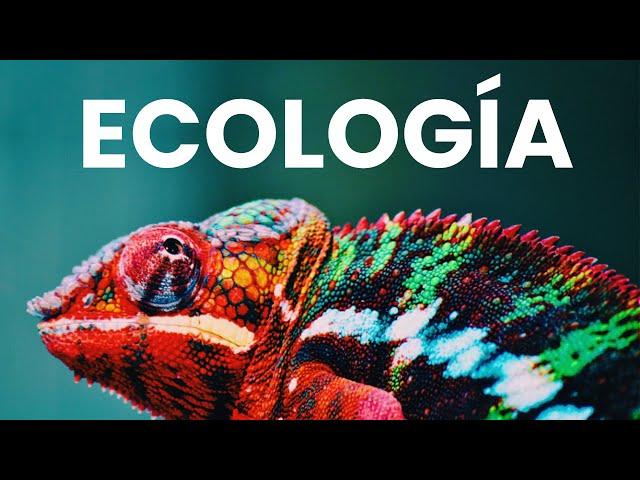 ¿Qué es la Ecología?